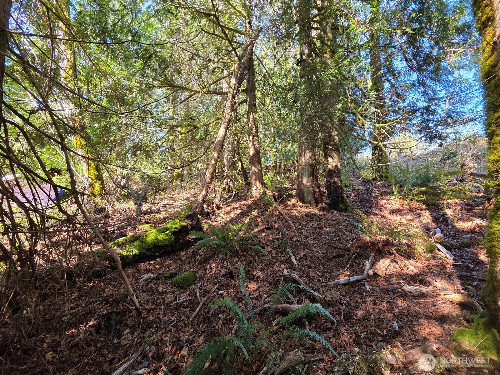 0 Cedar Place Property Photo 7