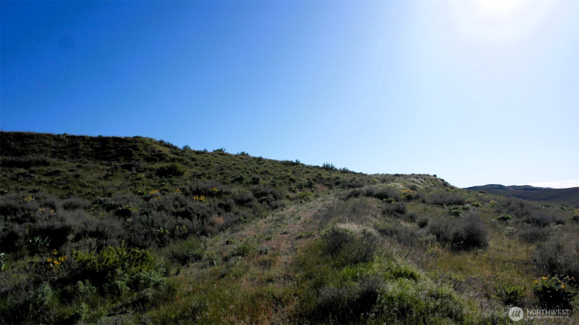 31 Cowboy Road Property Photo 23