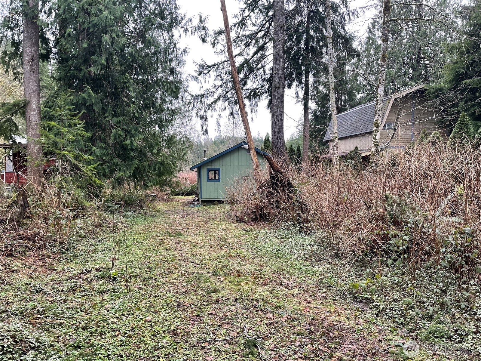 31930 Dotson Road Property Photo 2