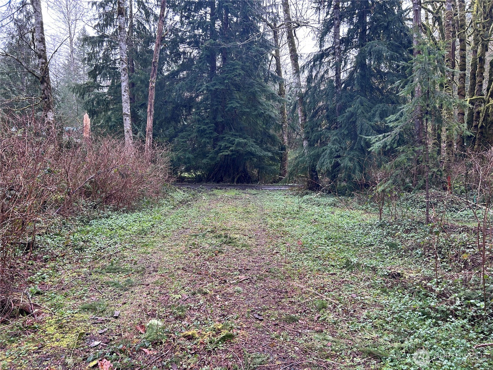 31930 Dotson Road Property Photo 11