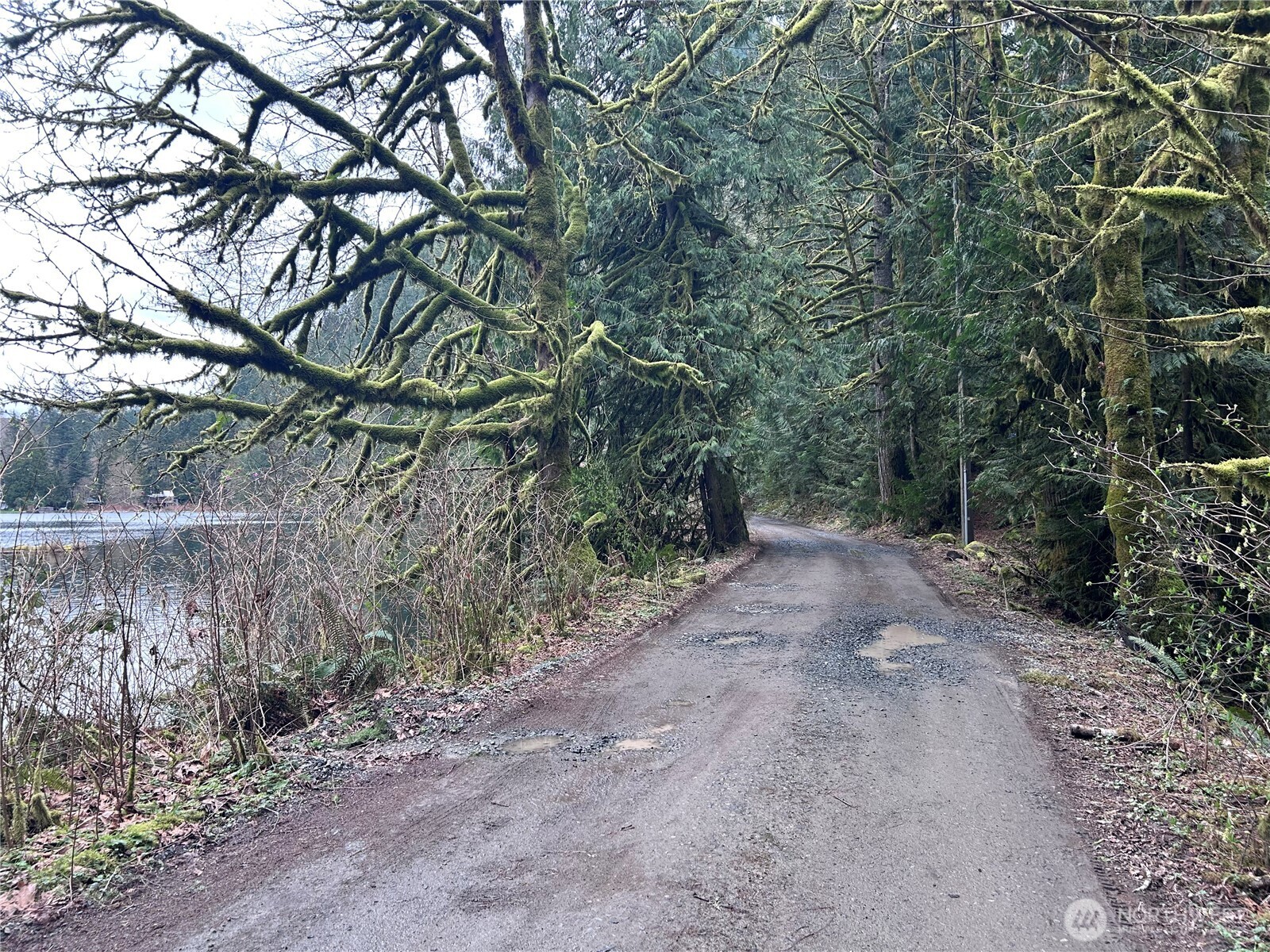 31930 Dotson Road Property Photo 12