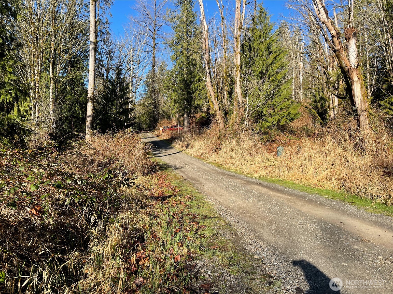 31930 Dotson Road Property Photo 15