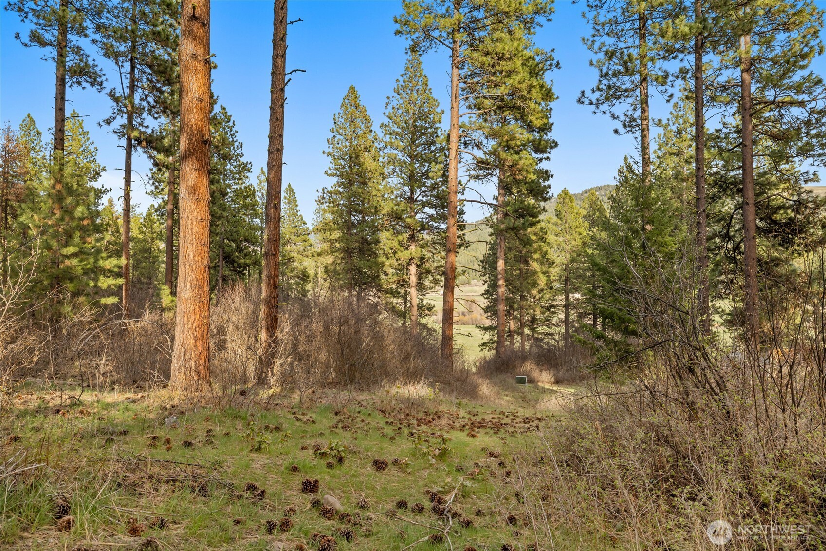 250 Fir Tree Drive Property Photo 1