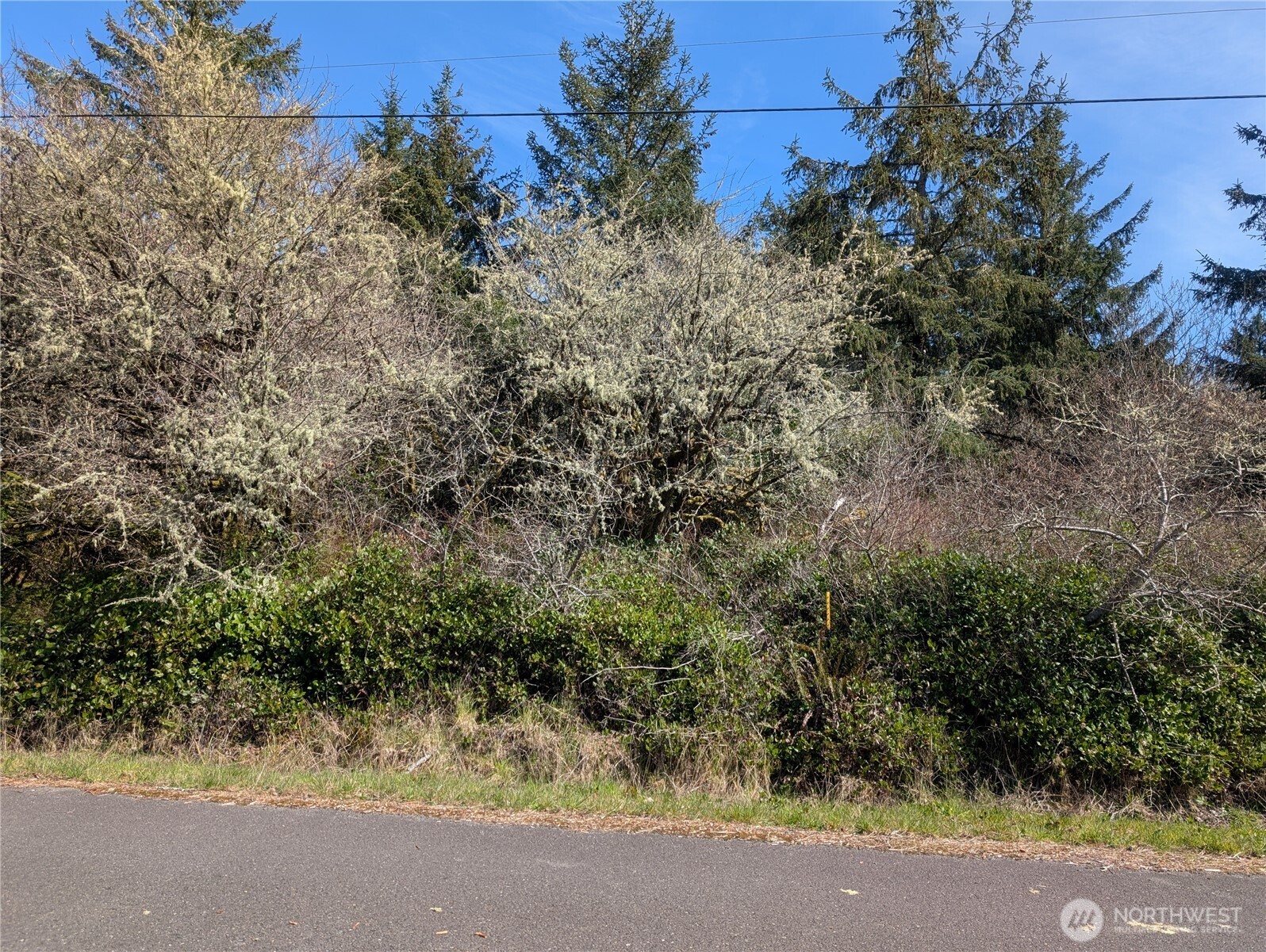 133 Cloquallum Street Property Photo 1