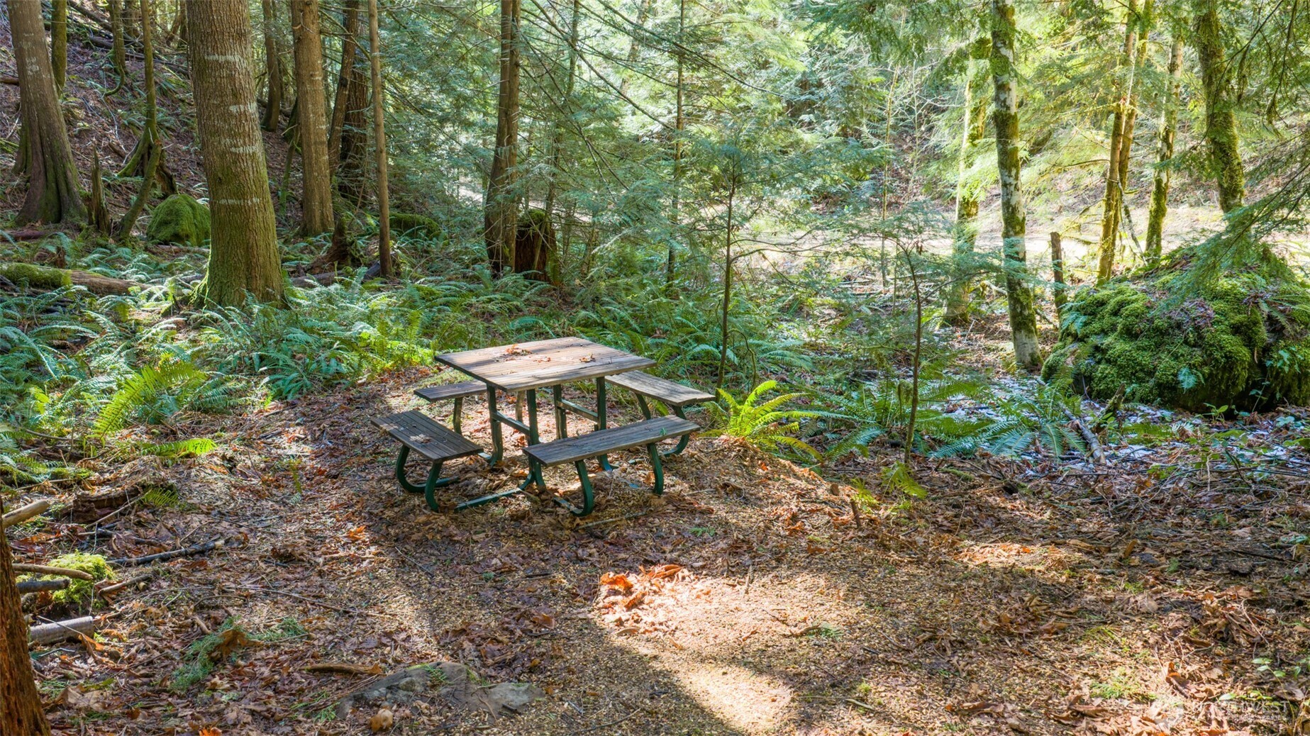 13 Dow Ridge Road Property Photo 9