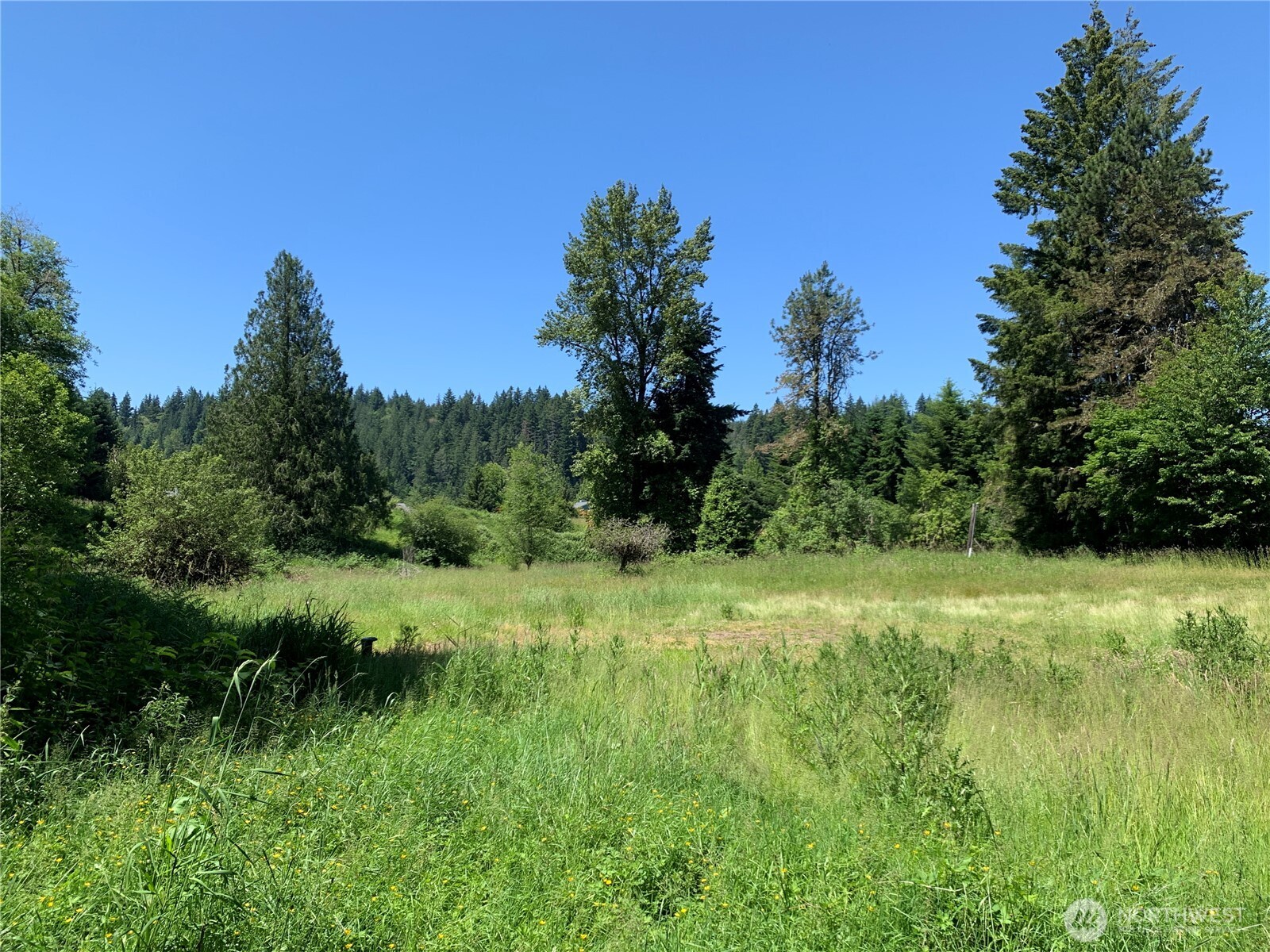 15412 Ap Tubbs Road Property Photo 5
