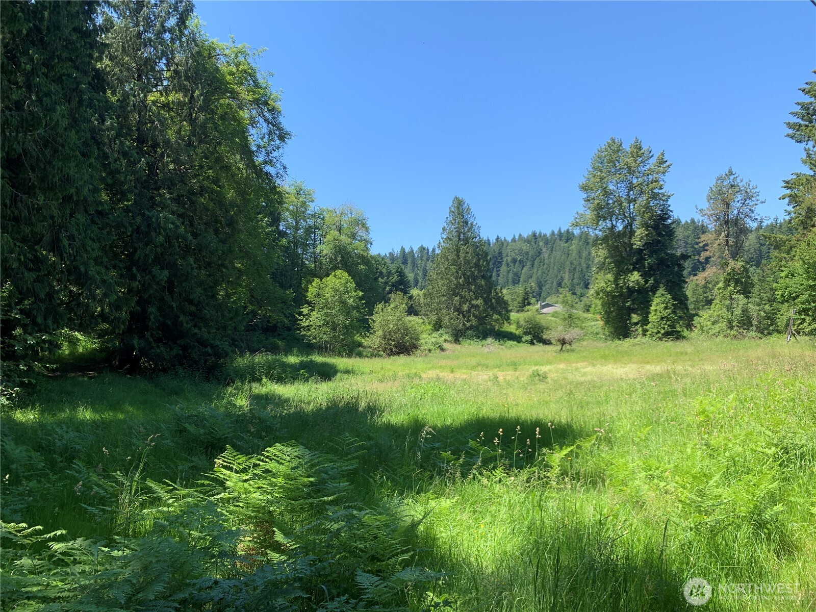 15412 Ap Tubbs Road Property Photo 8