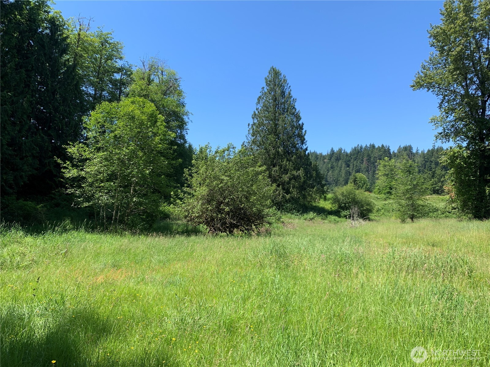15412 Ap Tubbs Road Property Photo 9