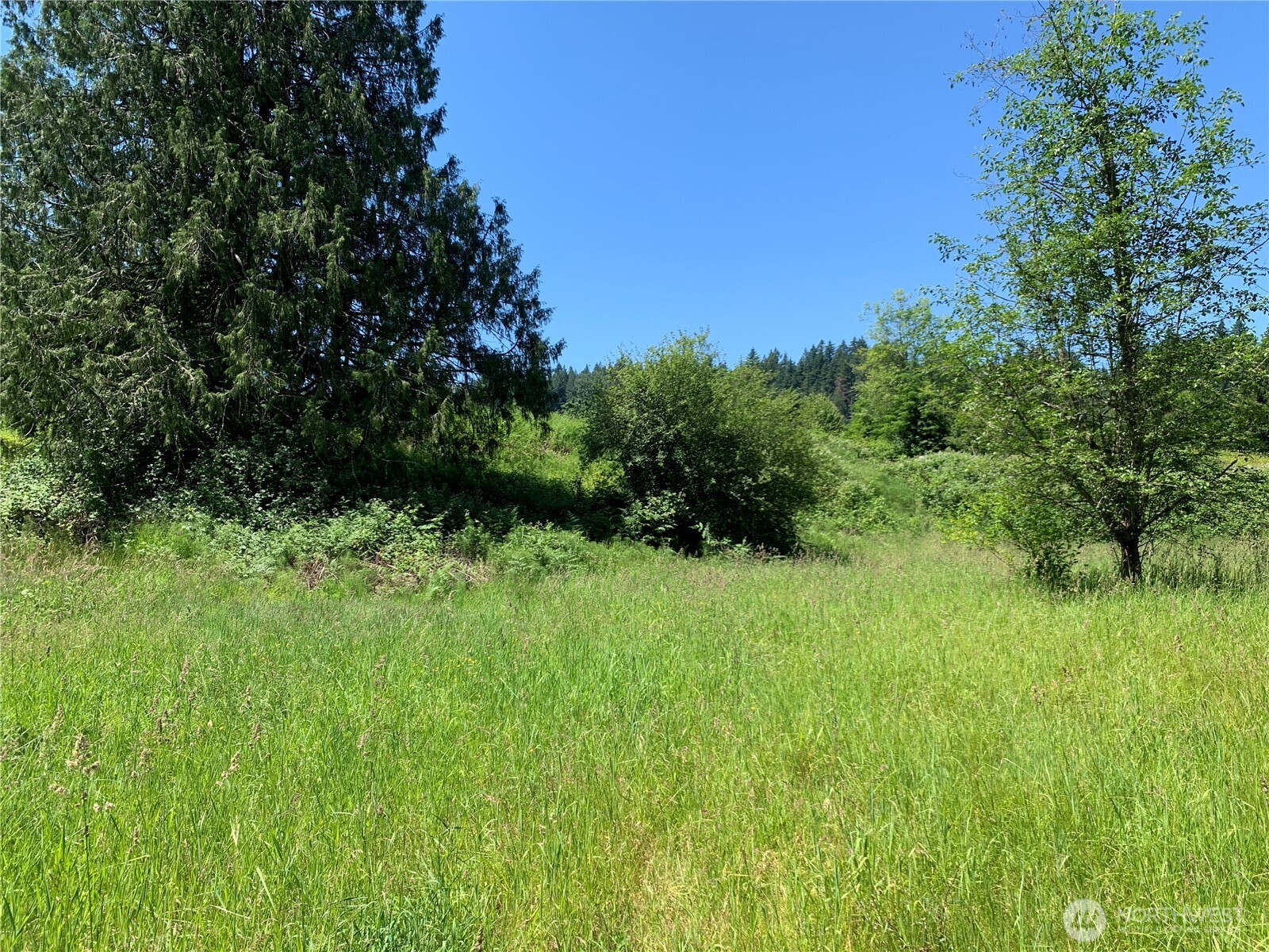 15412 Ap Tubbs Road Property Photo 14