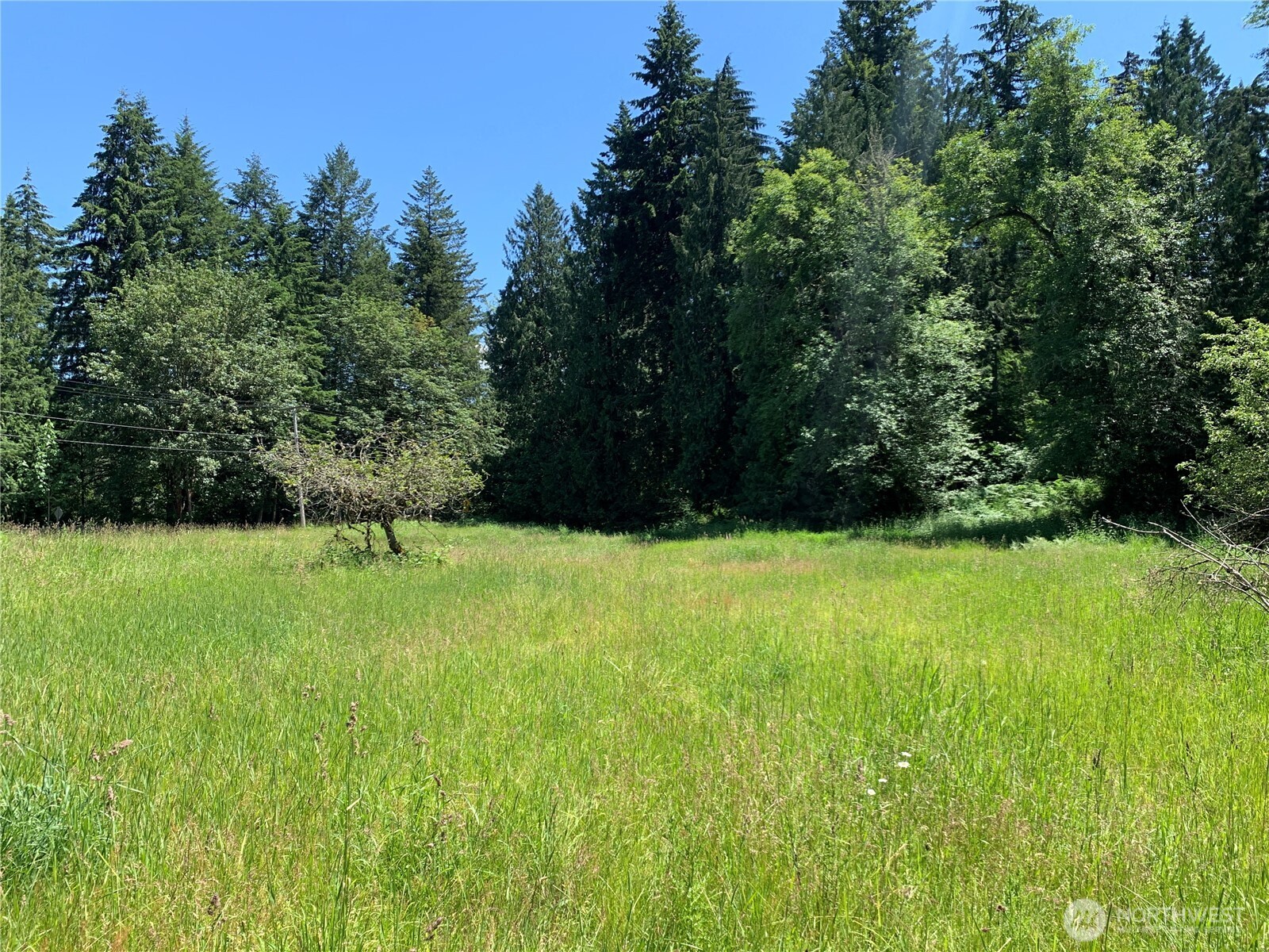 15412 Ap Tubbs Road Property Photo 15