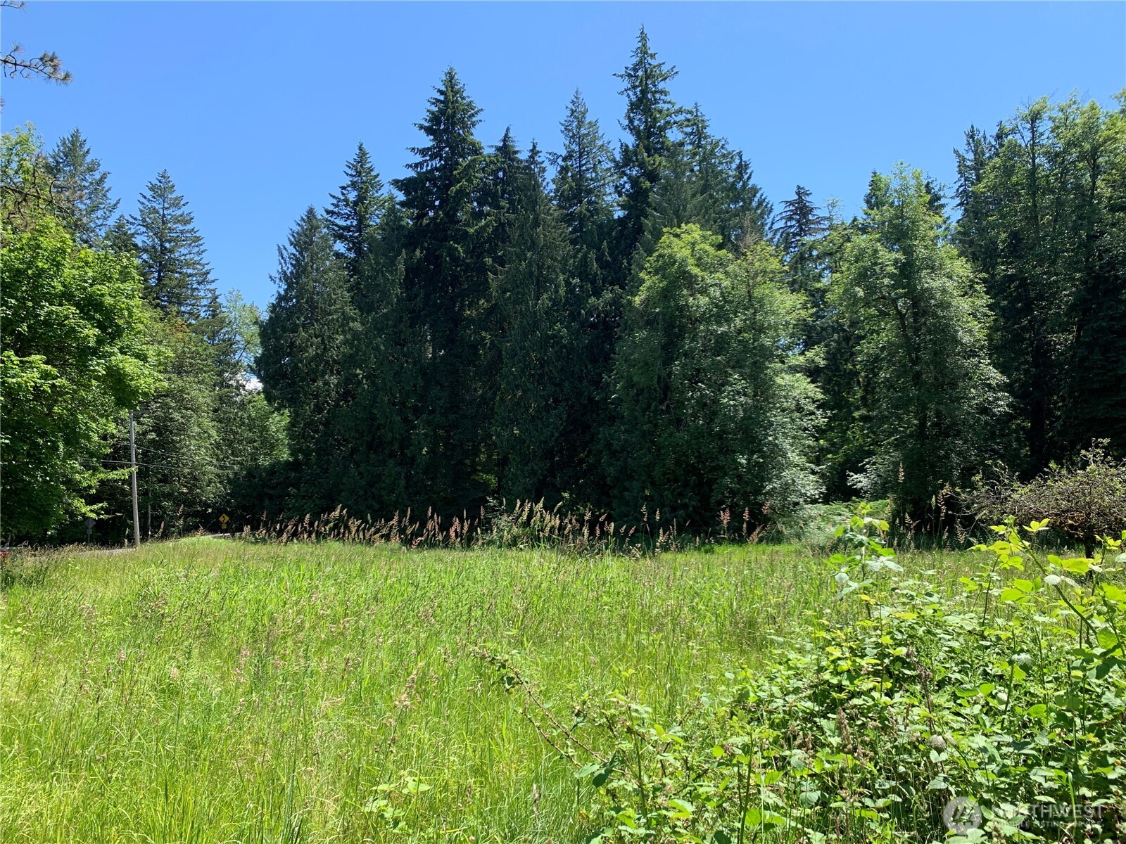 15412 Ap Tubbs Road Property Photo 16