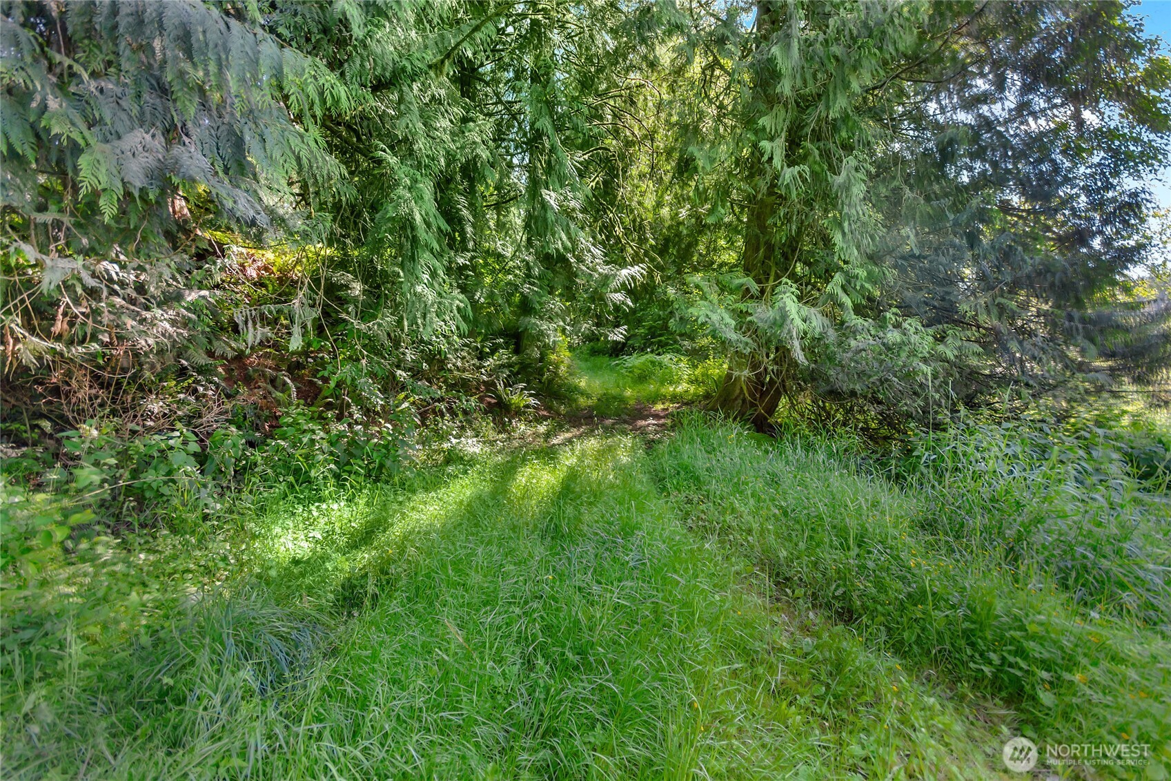 15412 Ap Tubbs Road Property Photo 18