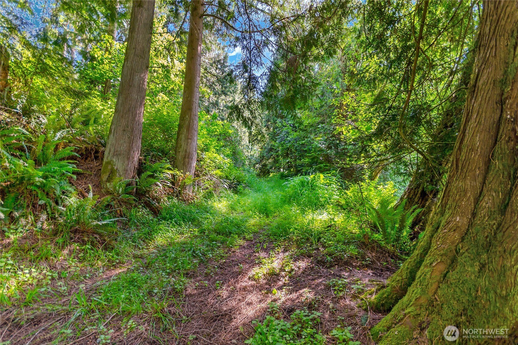 15412 Ap Tubbs Road Property Photo 19