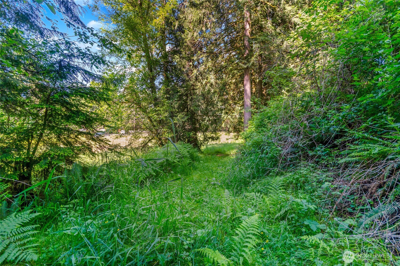 15412 Ap Tubbs Road Property Photo 20