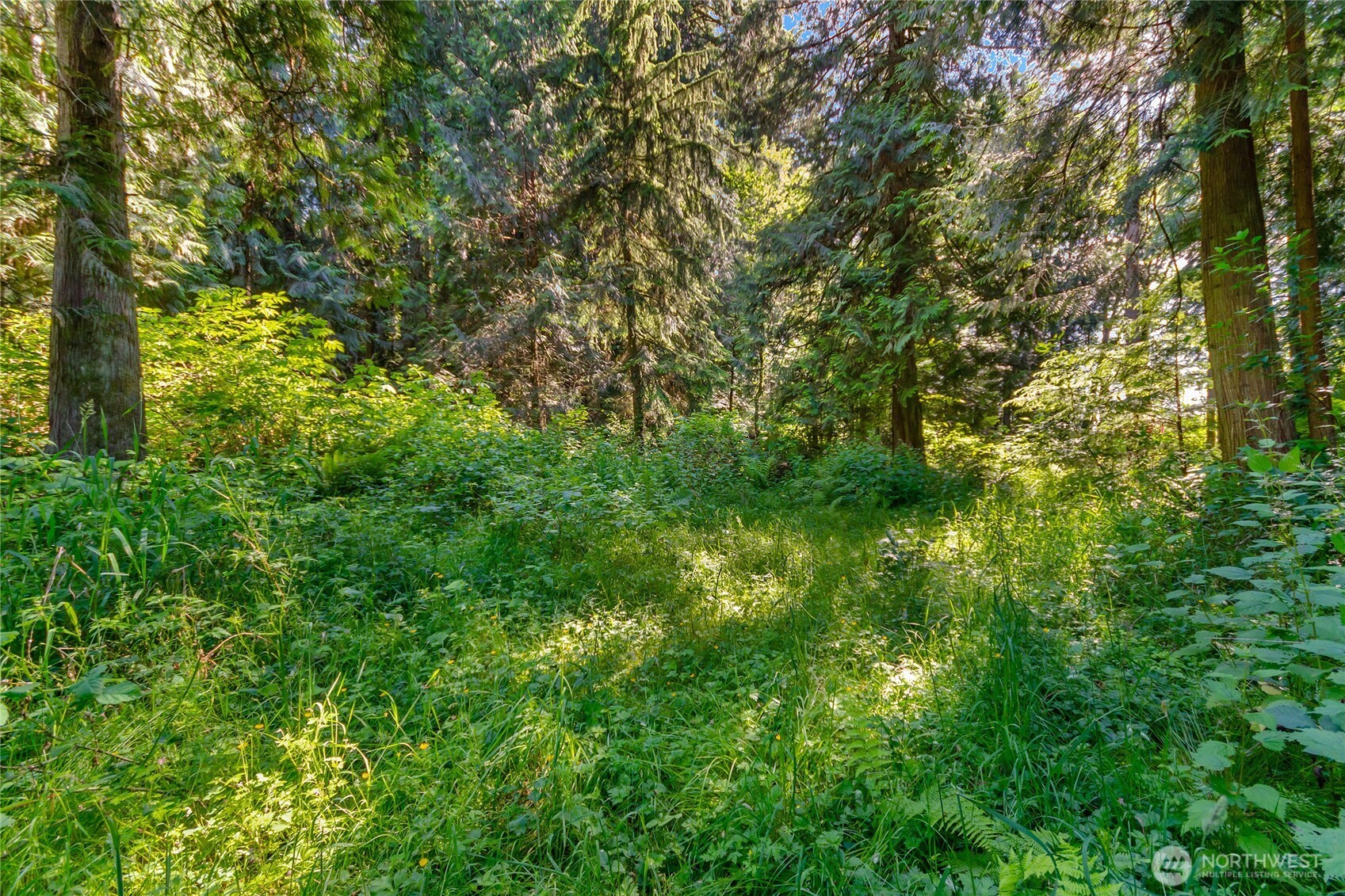 15412 Ap Tubbs Road Property Photo 21