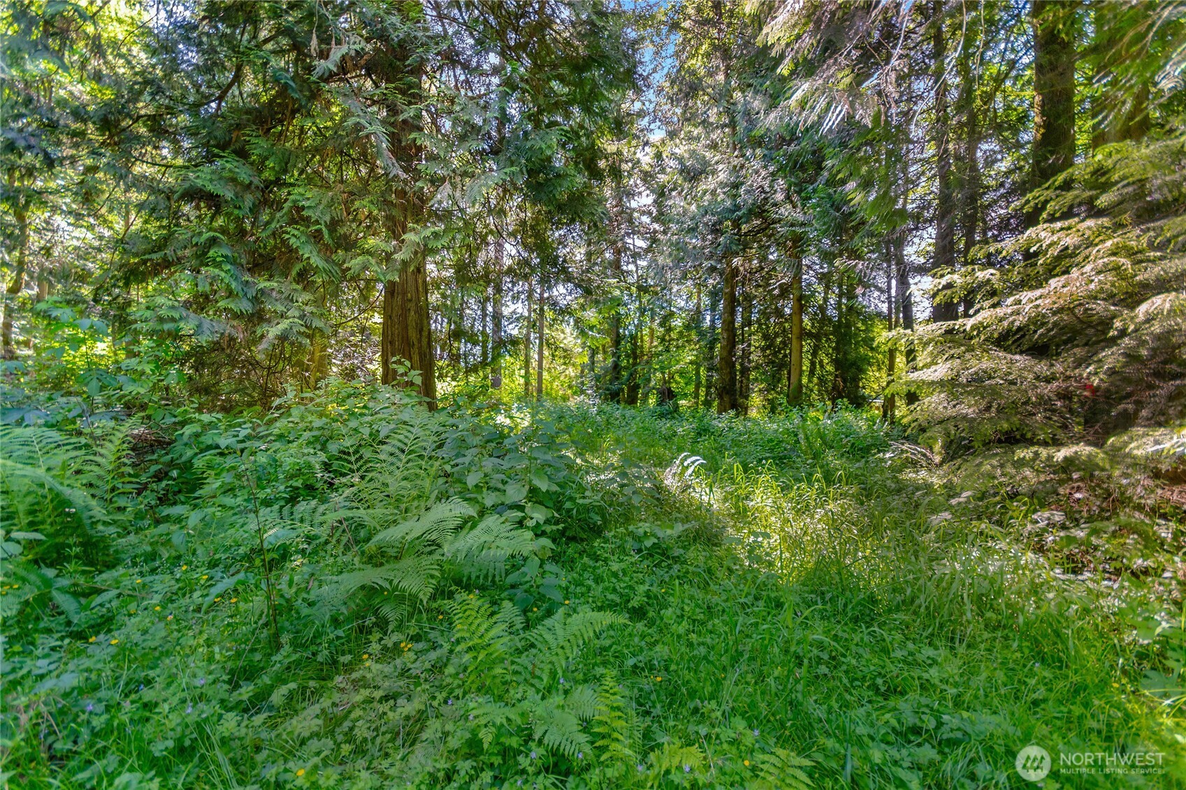 15412 Ap Tubbs Road Property Photo 22