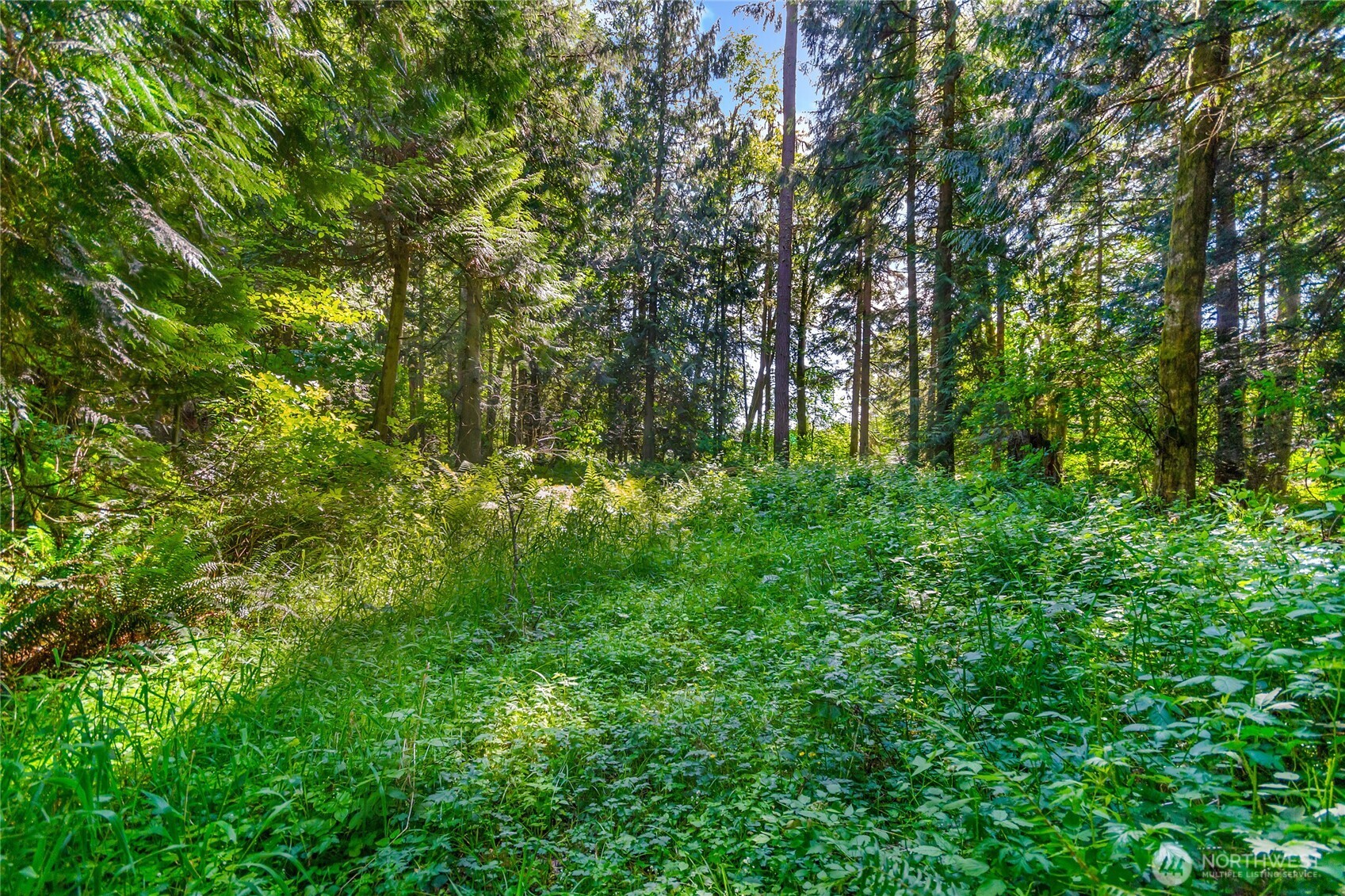 15412 Ap Tubbs Road Property Photo 23