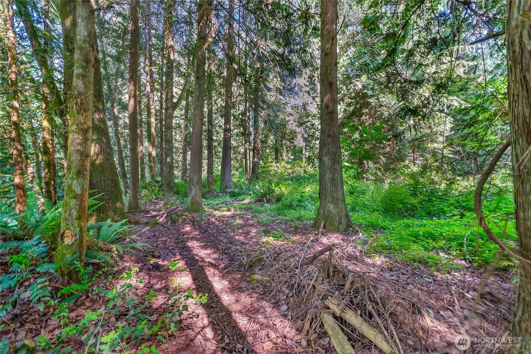 15412 Ap Tubbs Road Property Photo 24
