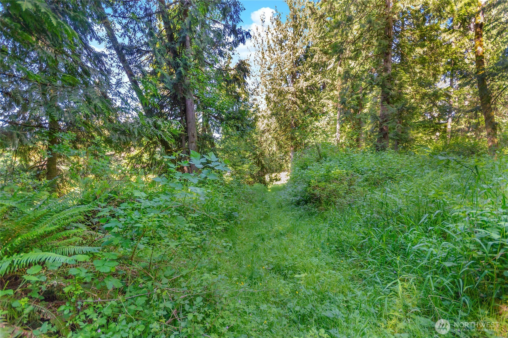 15412 Ap Tubbs Road Property Photo 25