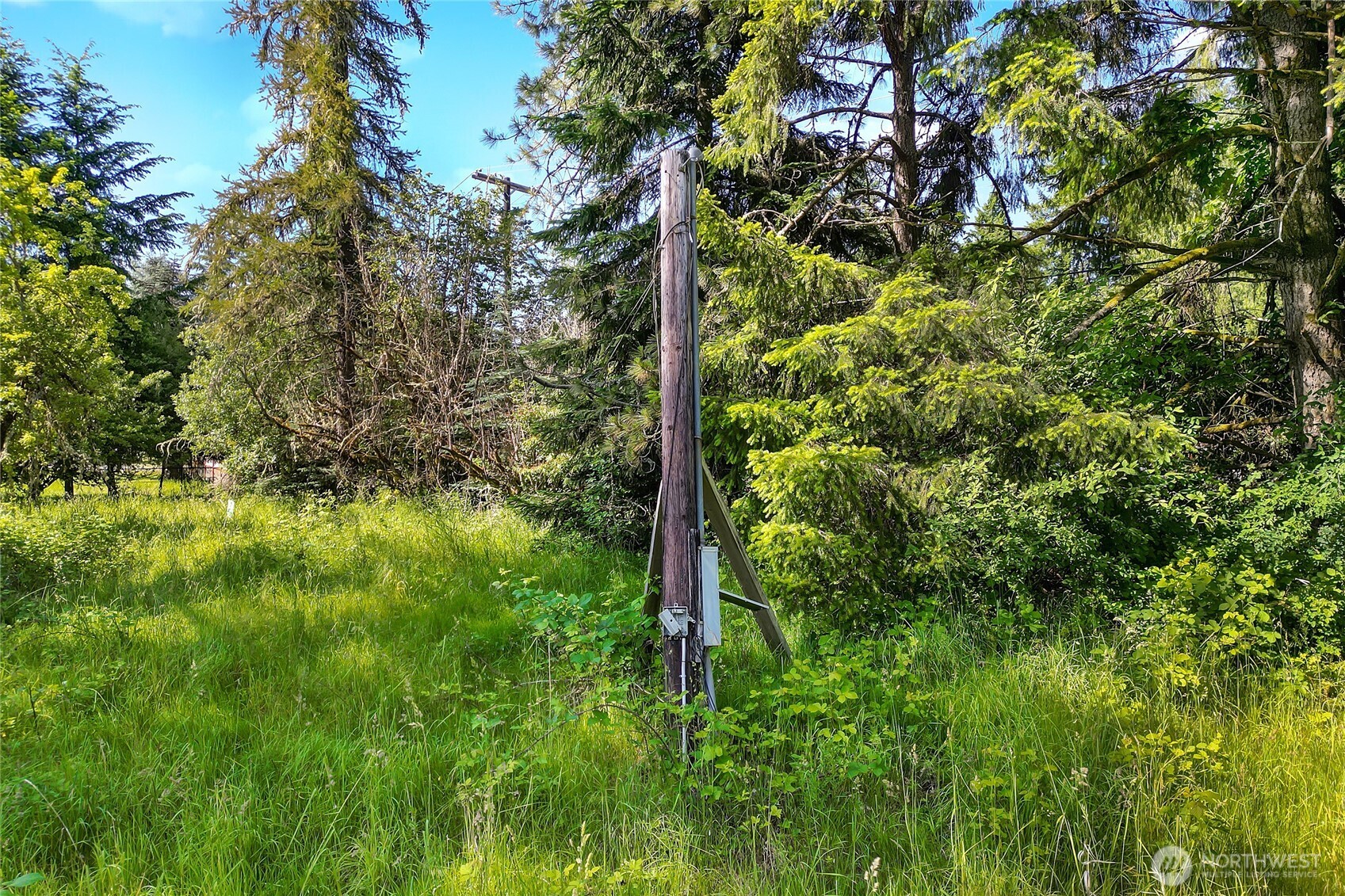 15412 Ap Tubbs Road Property Photo 33