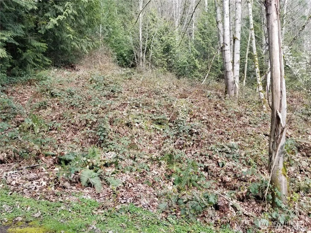 0 Ne 58th Street Property Photo 3