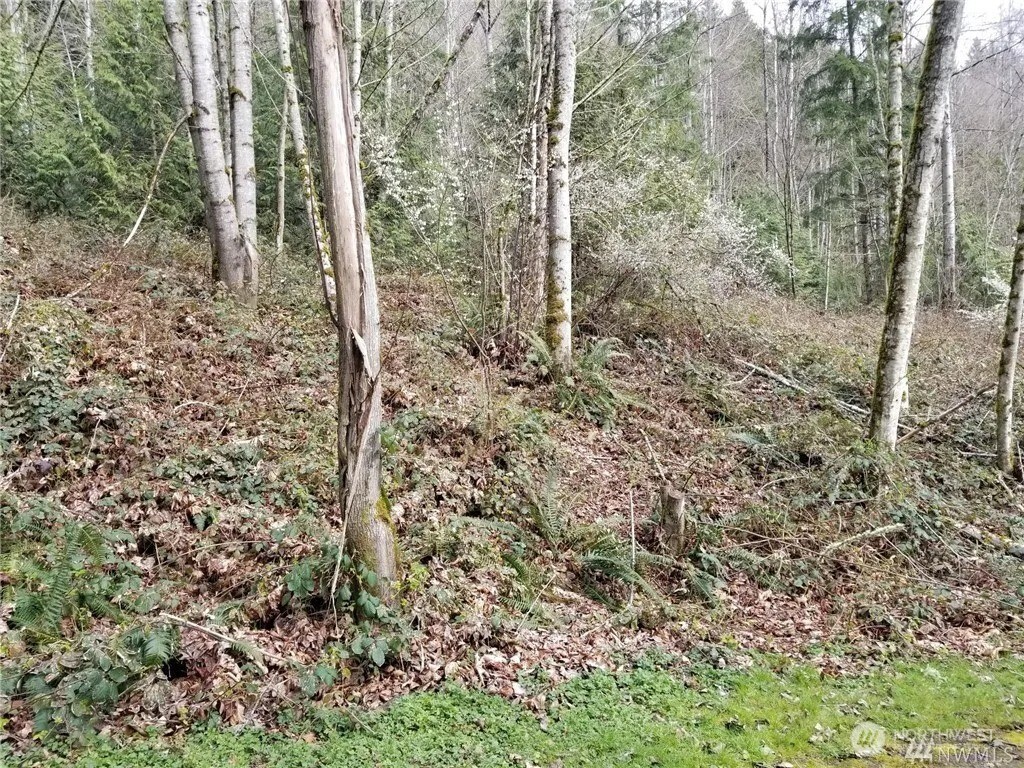 0 Ne 58th Street Property Photo 4