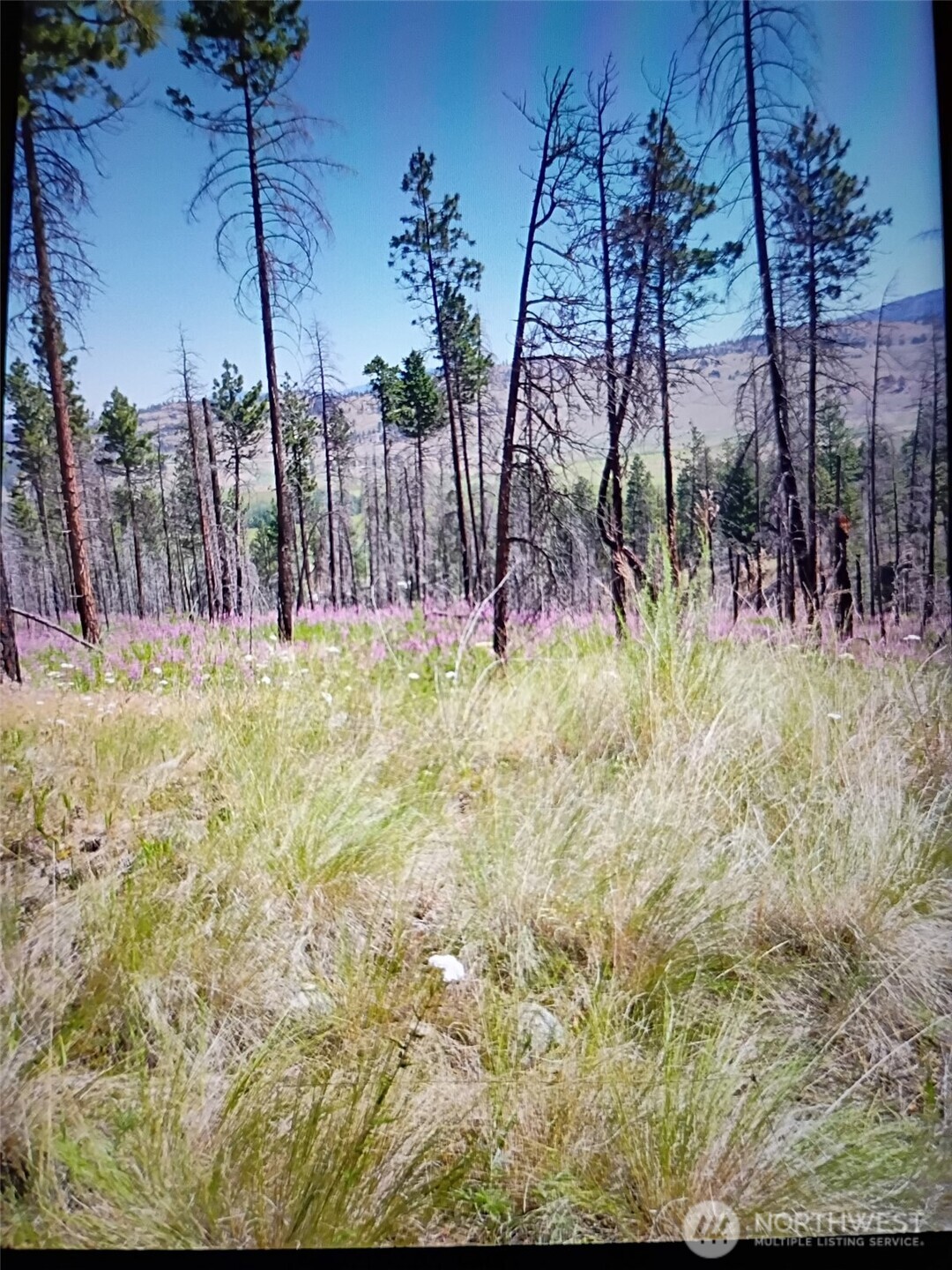 111 Tbd J H Green Rd Property Photo 6