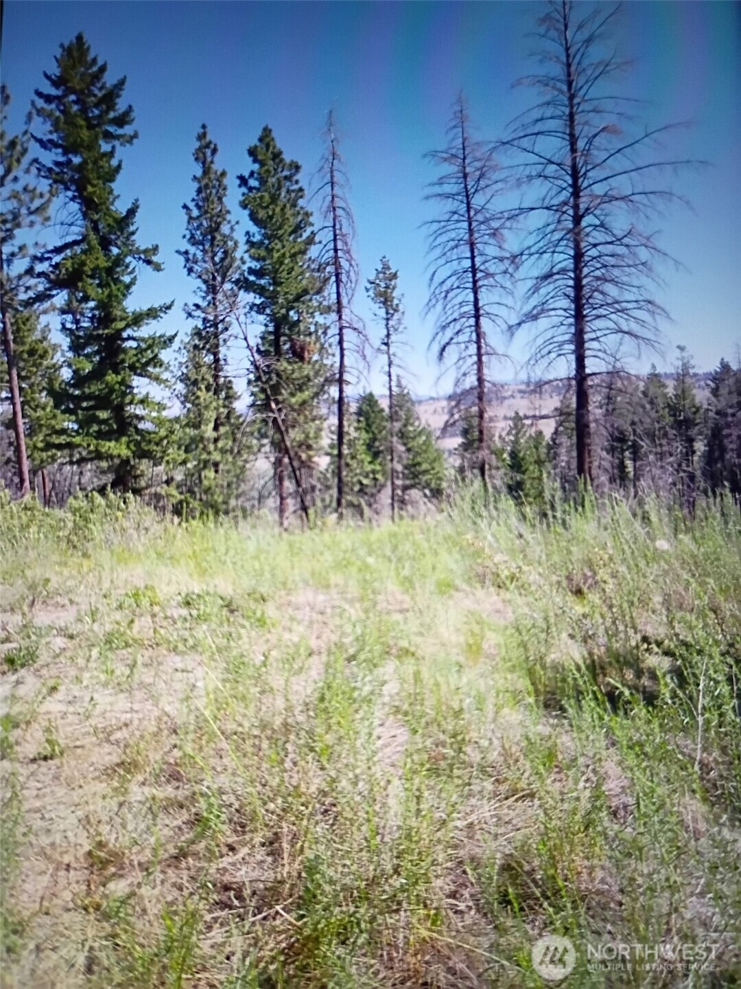 111 Tbd J H Green Rd Property Photo 8