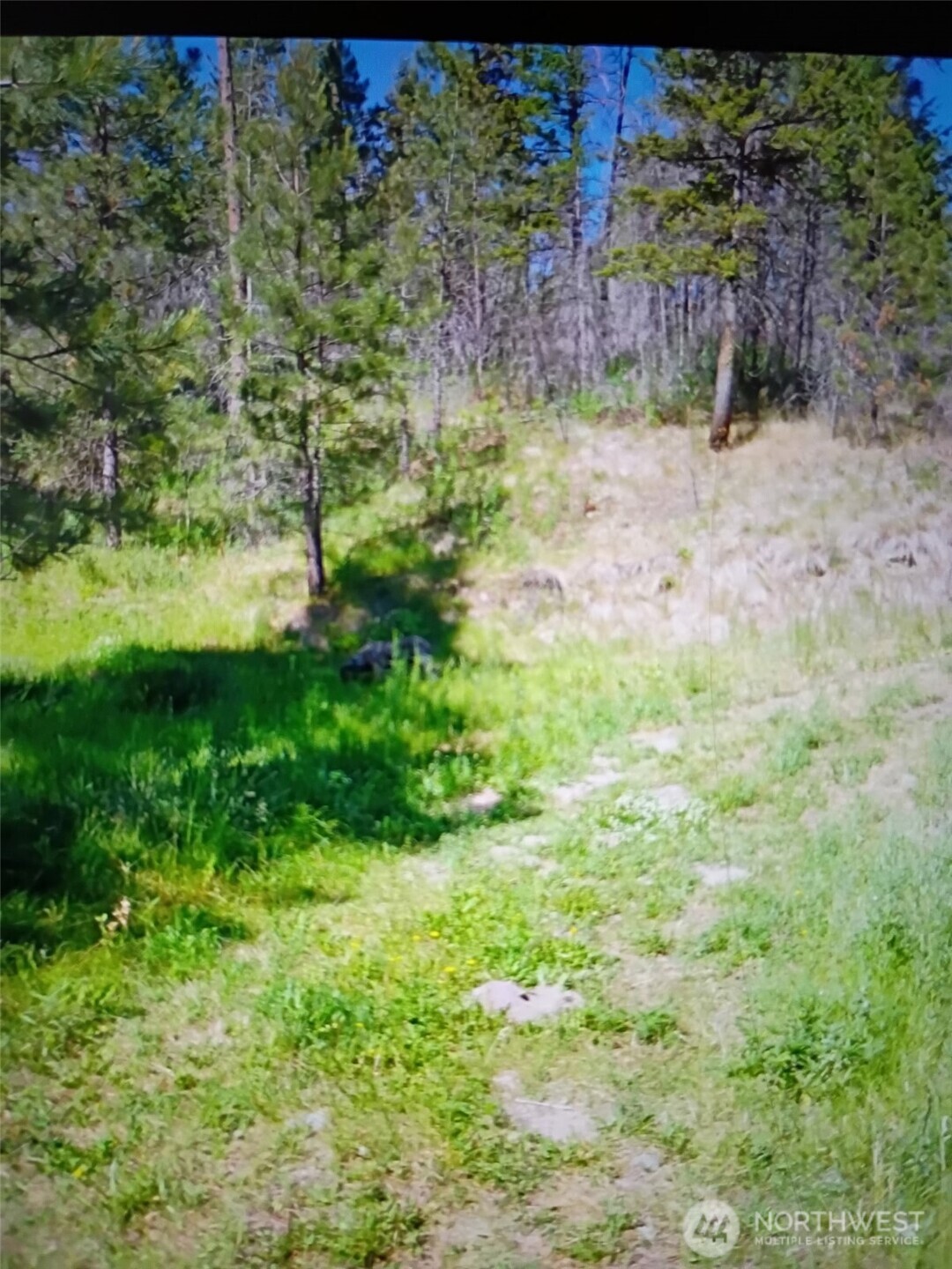 111 Tbd J H Green Rd Property Photo 12