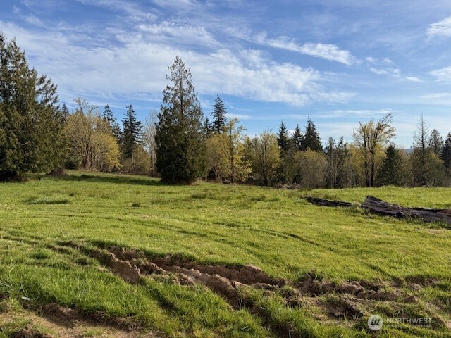 0 Grimm Road Property Photo 5