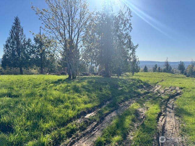 0 Grimm Road Property Photo 14