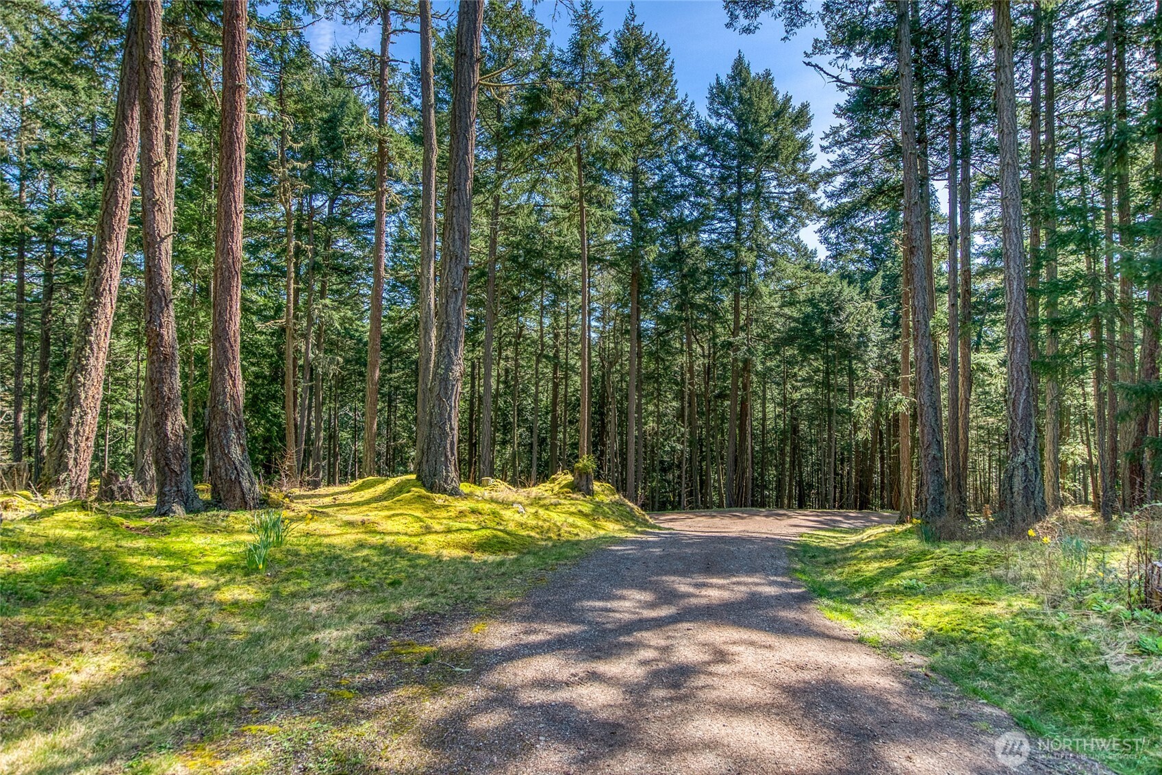 424 Logan's Run Road Property Photo 31