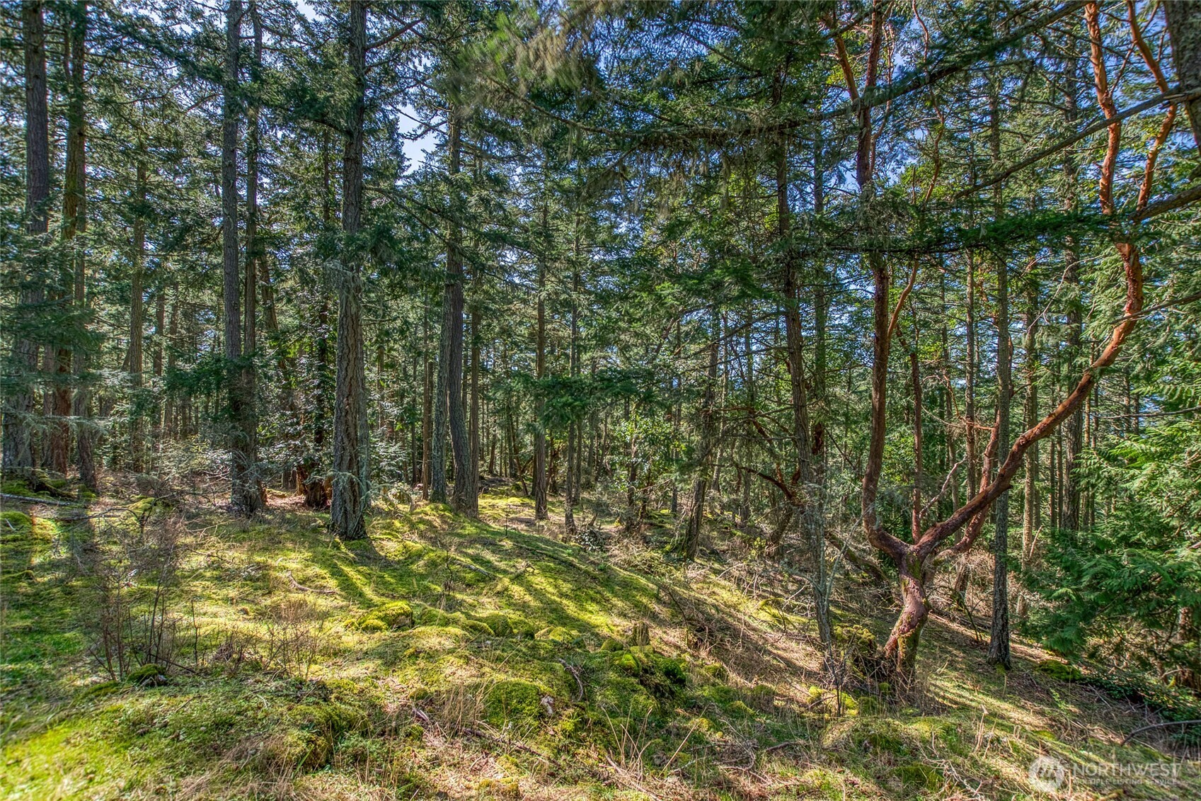 424 Logan's Run Road Property Photo 37