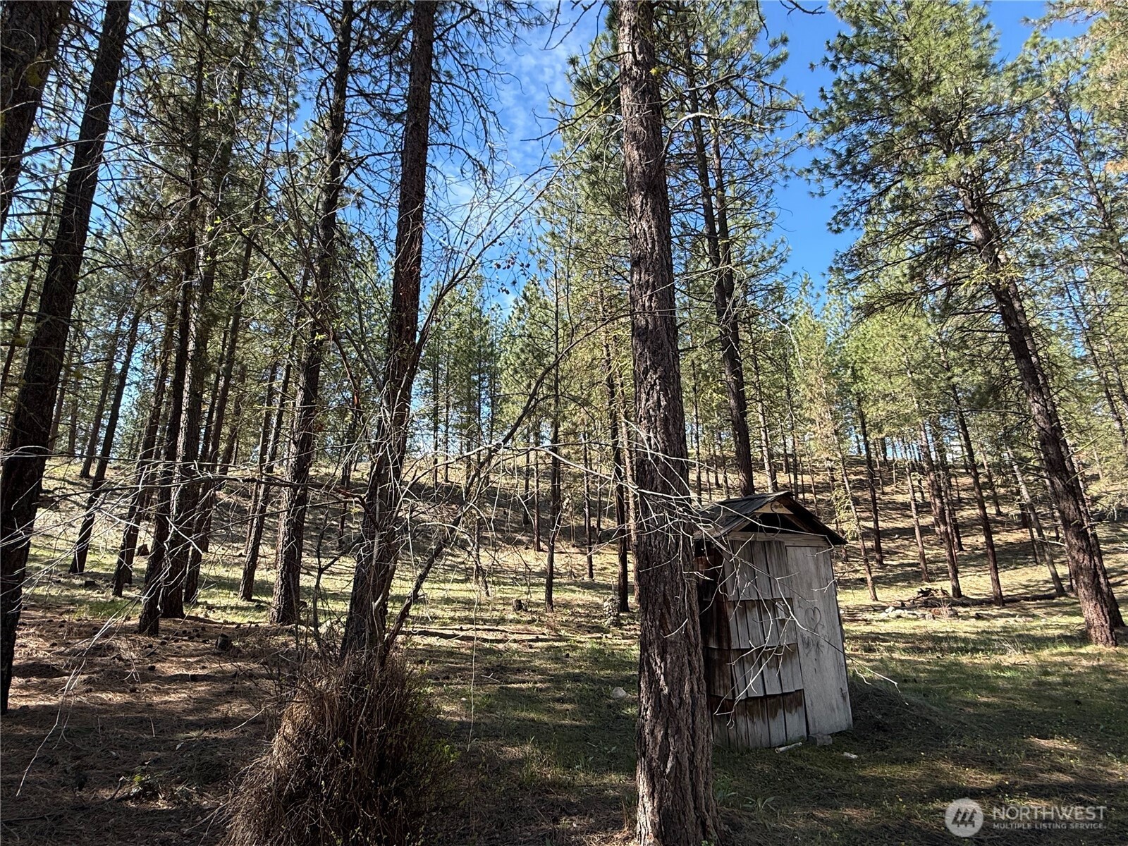 87 Larkspur Drive Property Photo 3