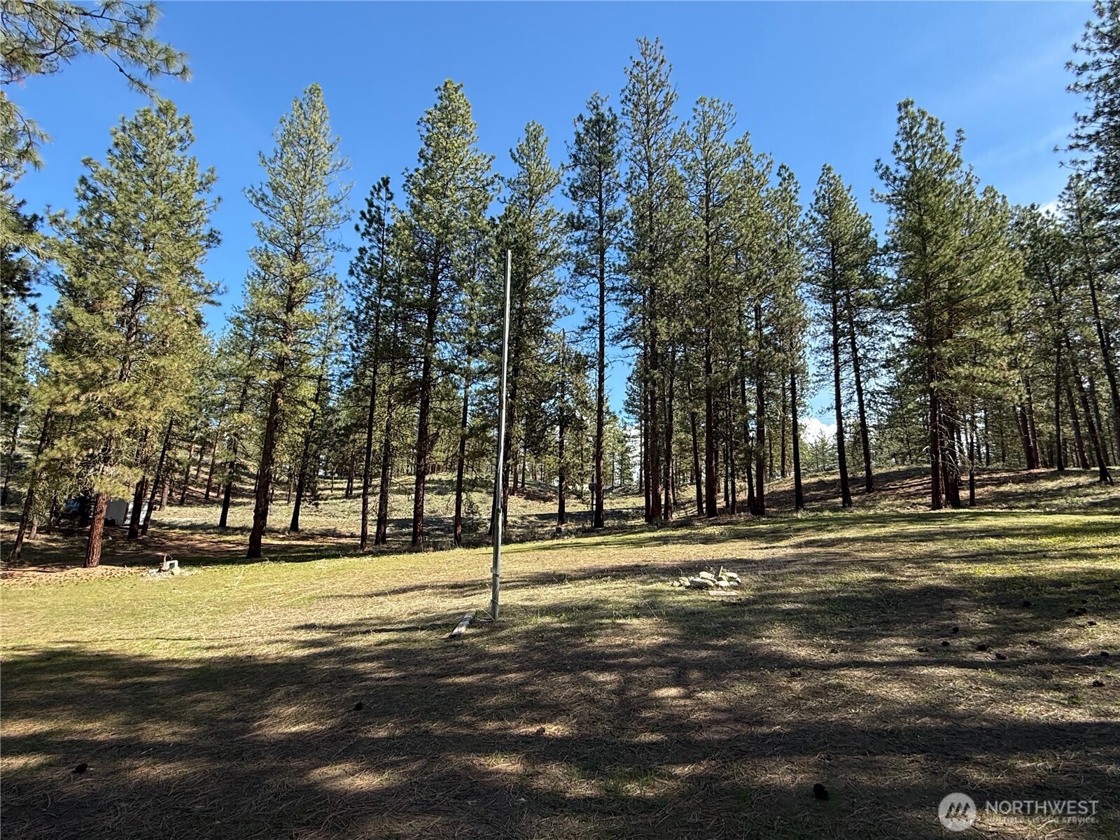 87 Larkspur Drive Property Photo 8