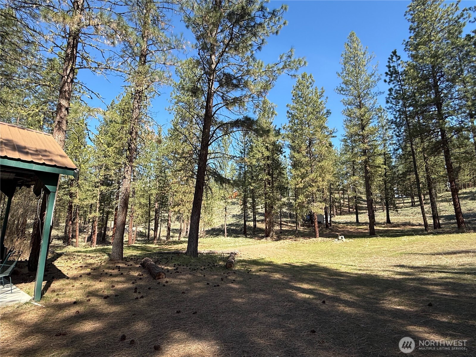 87 Larkspur Drive Property Photo 10