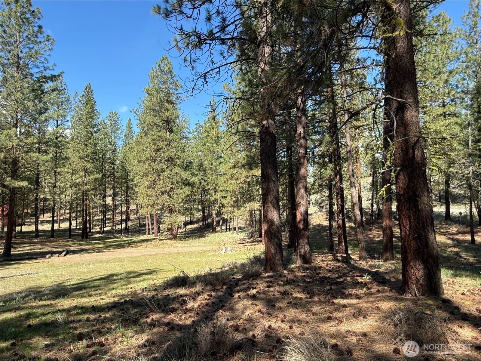 87 Larkspur Drive Property Photo 34