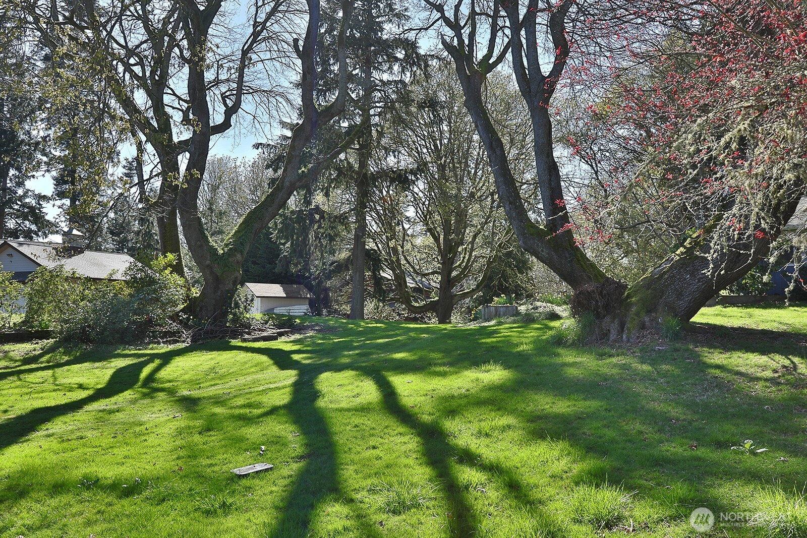 0 Lopez Drive Property Photo 5