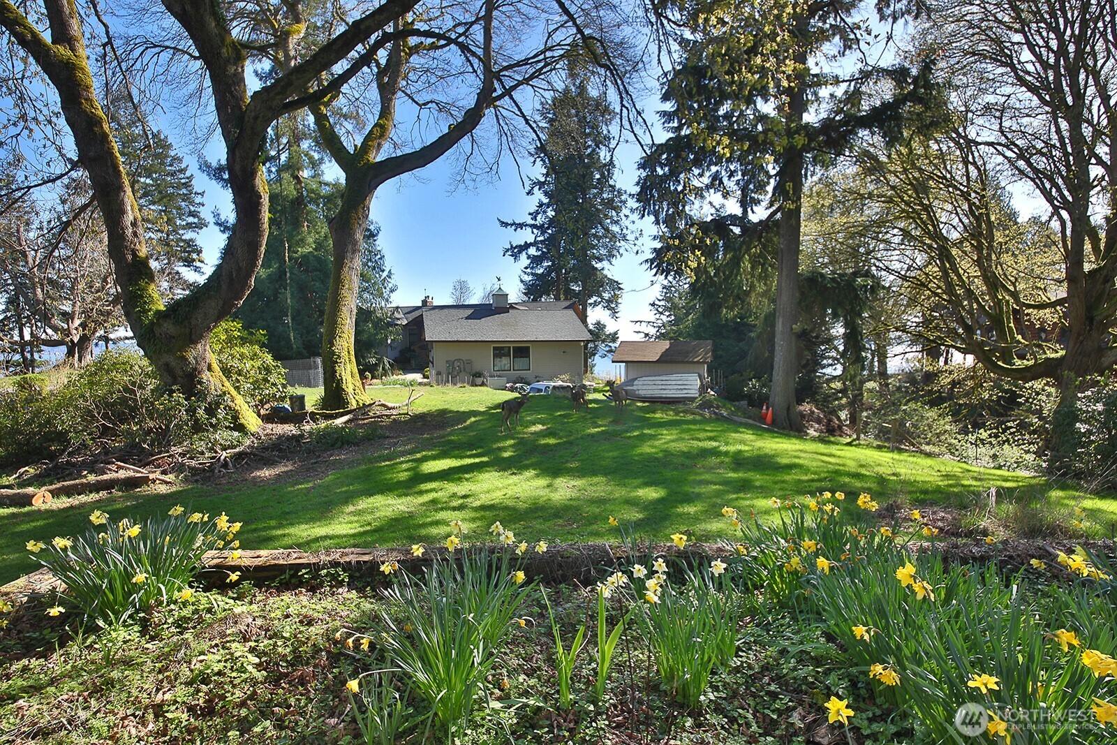 0 Lopez Drive Property Photo 6