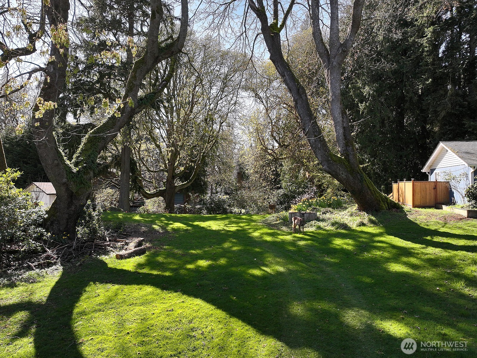 0 Lopez Drive Property Photo 8