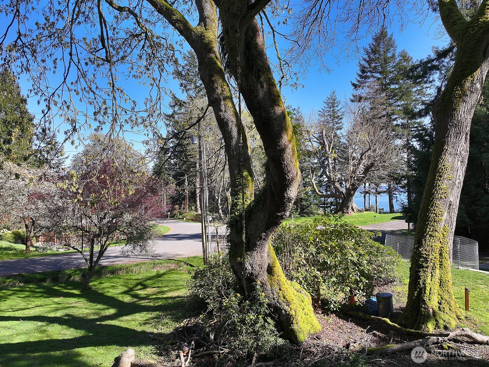 0 Lopez Drive Property Photo 9