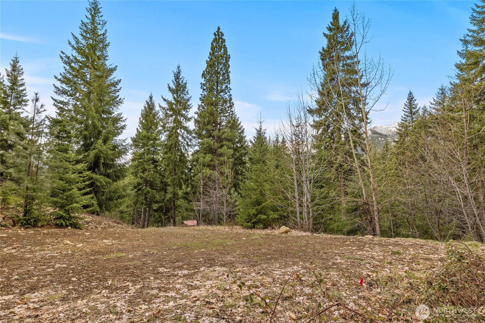 33 Lakeside Court Property Photo 1