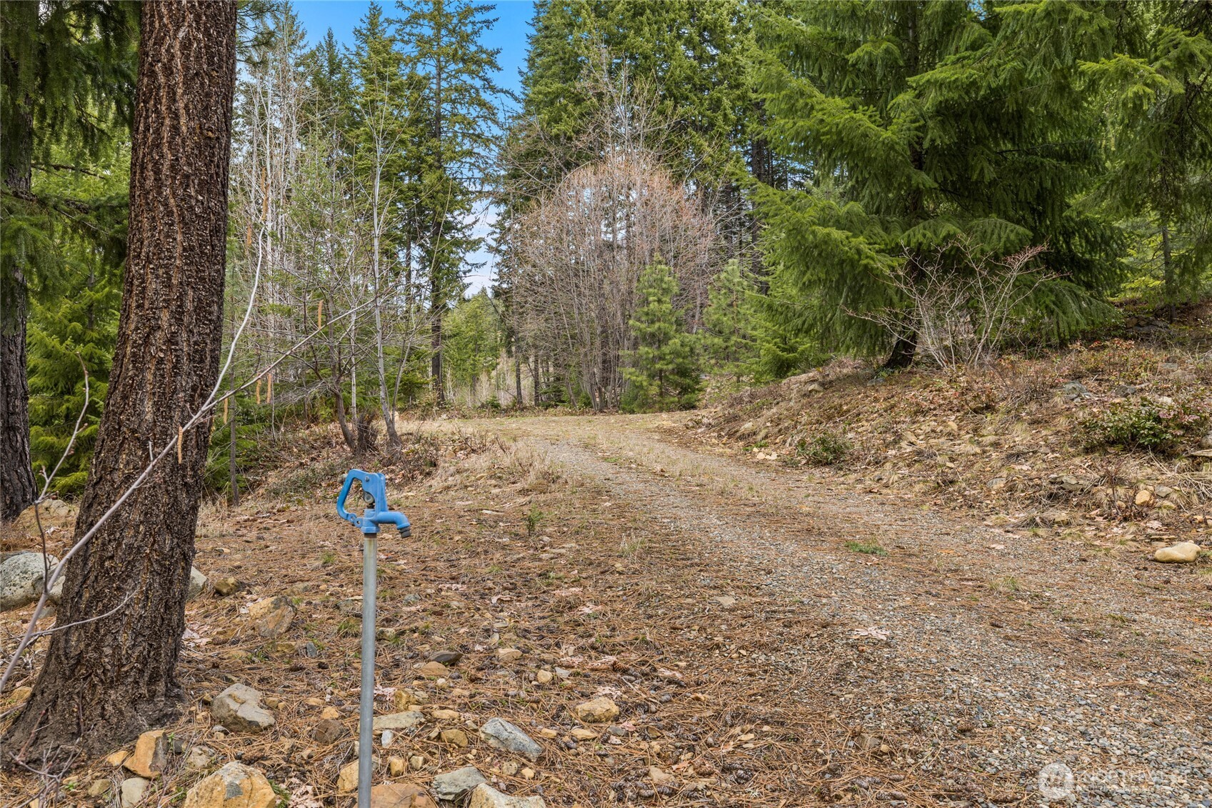 33 Lakeside Court Property Photo 6