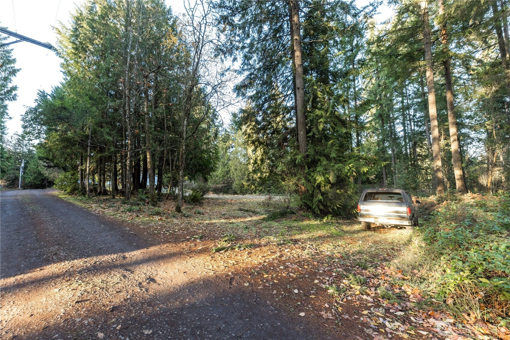 11656 Random Place Property Photo 1