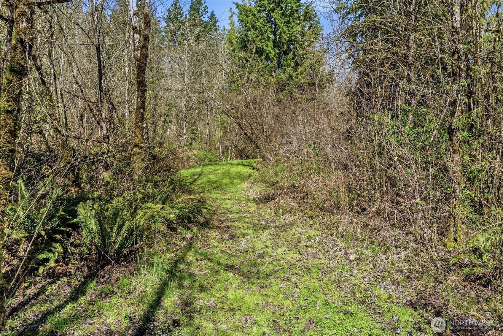 337 Jorgensen Road Property Photo 30