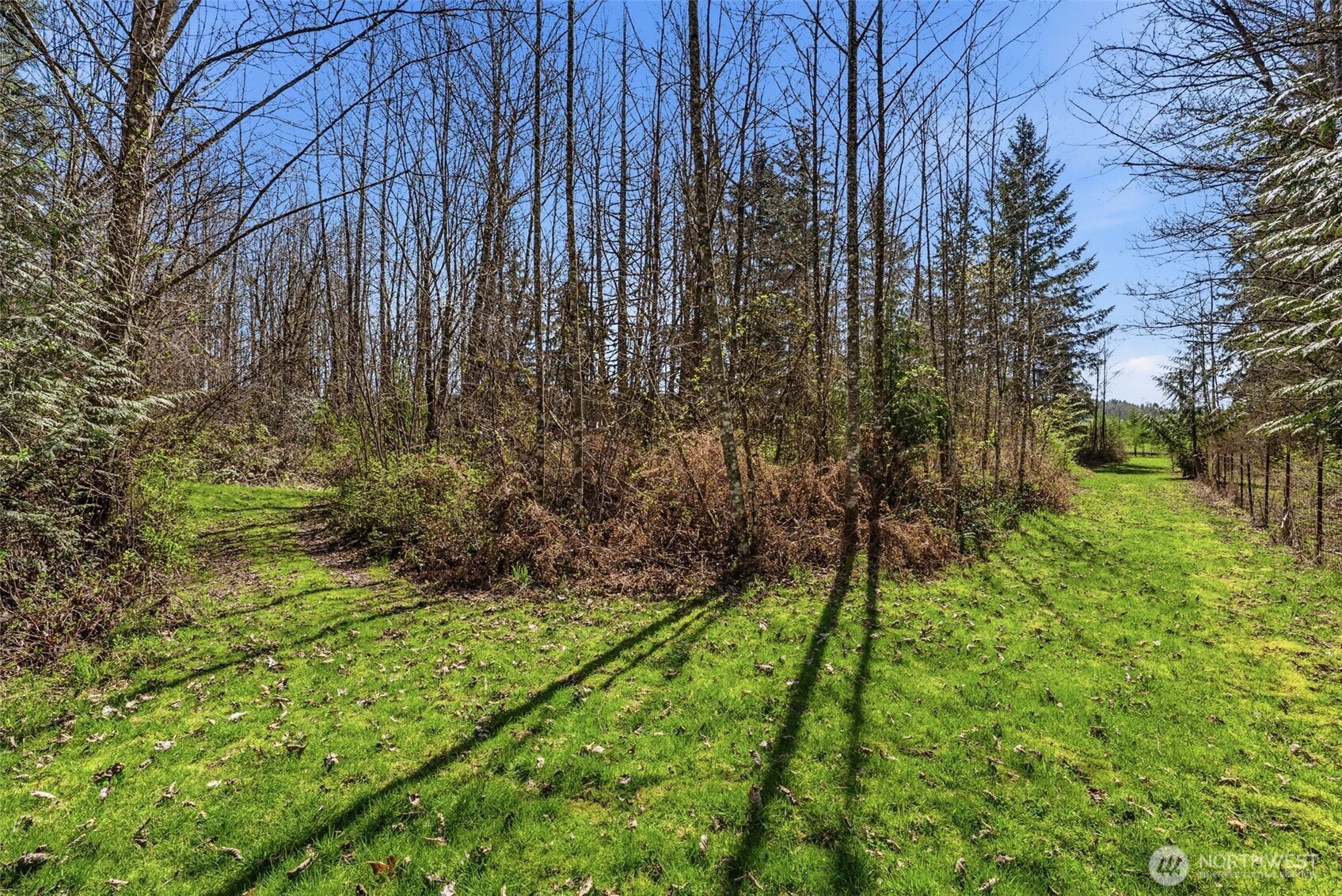 337 Jorgensen Road Property Photo 31