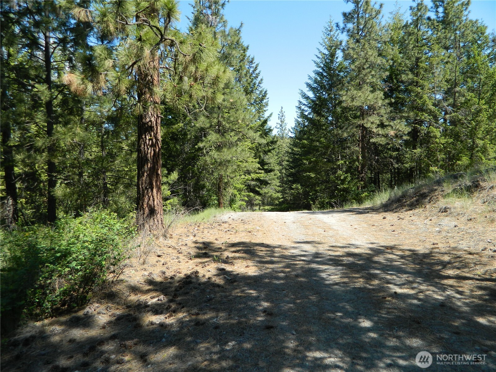 0 Tbd Murphy Ranch Road Property Photo 1