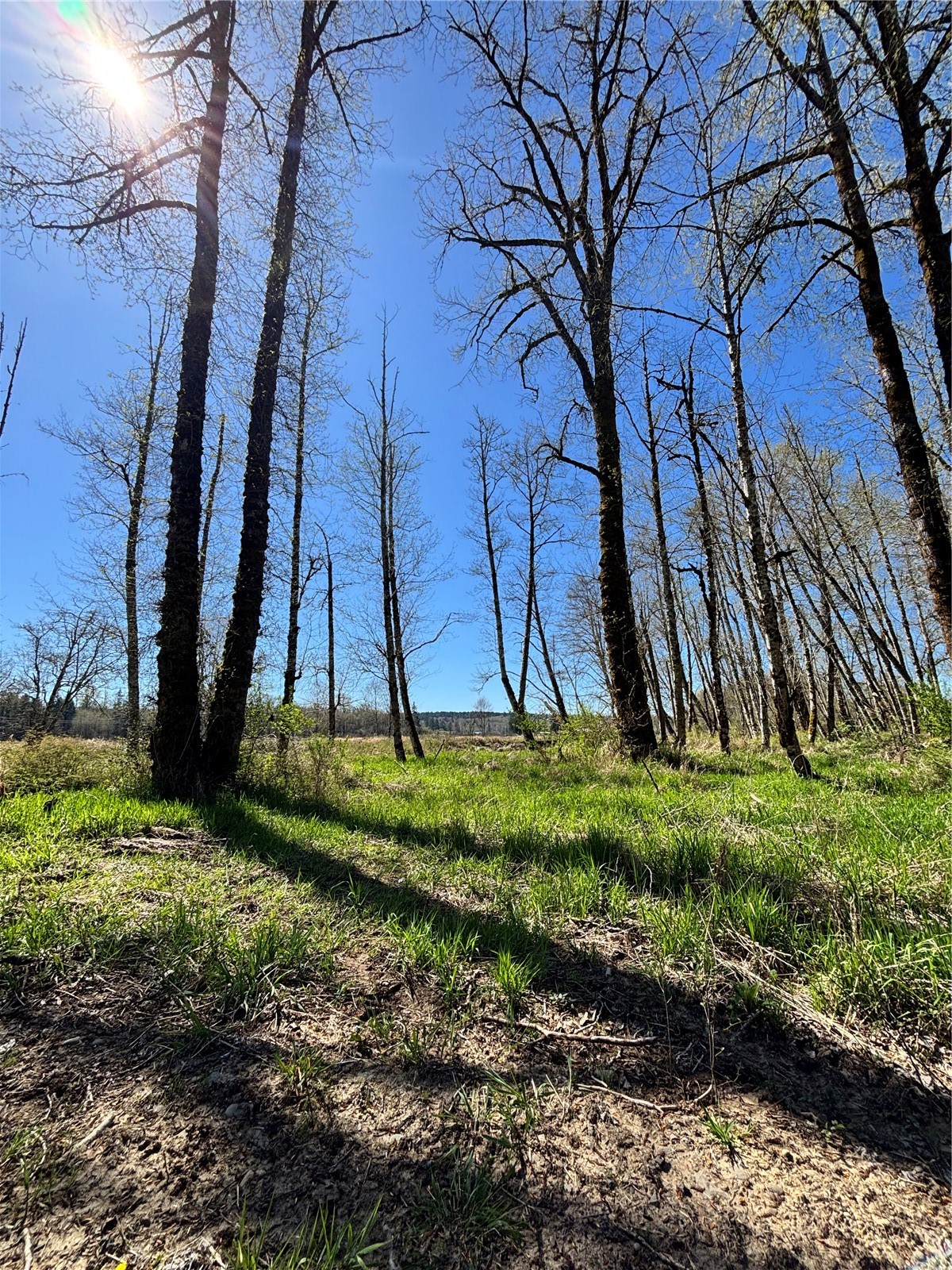 1554 State Route 508 Property Photo 13