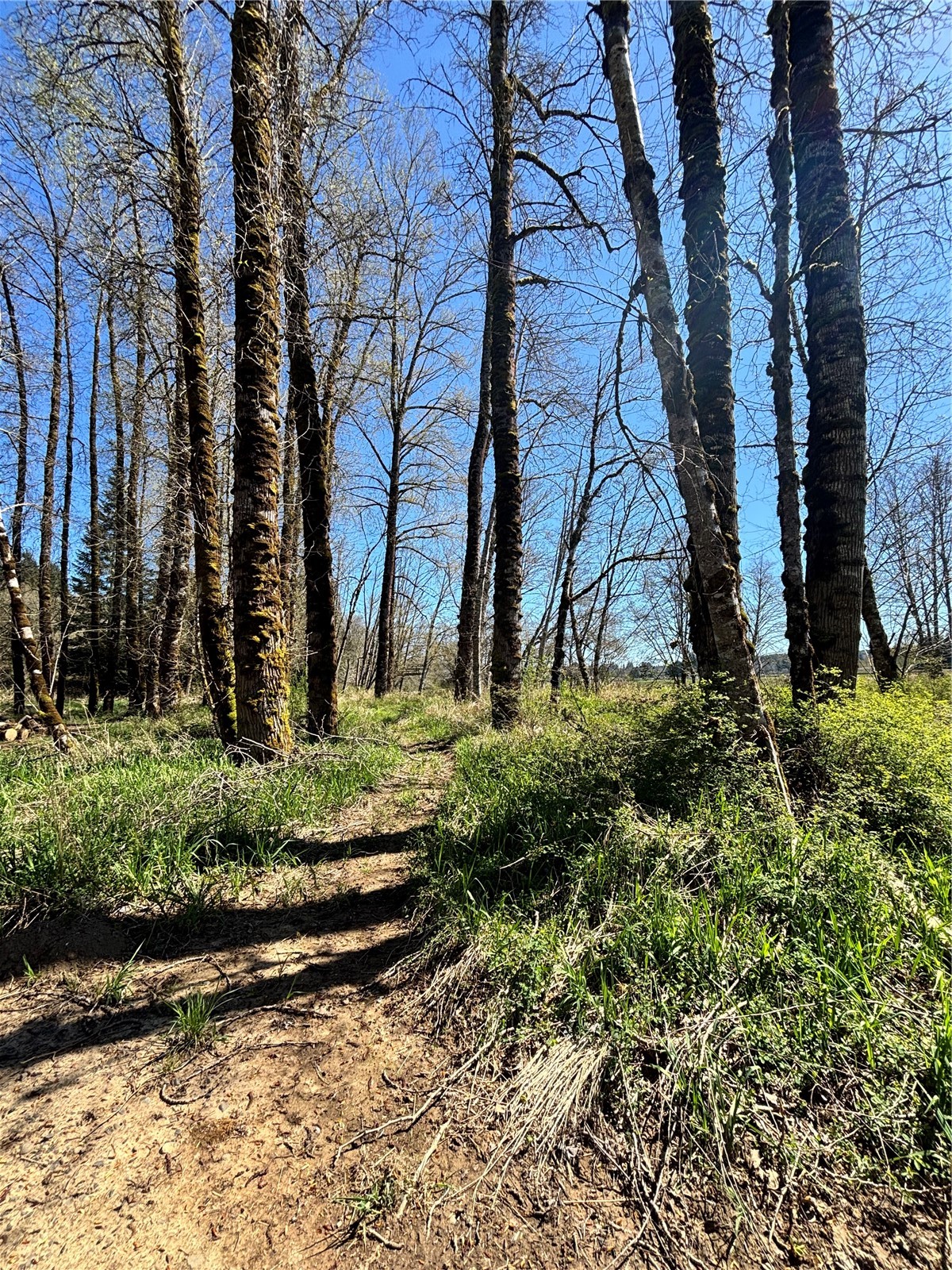 1554 State Route 508 Property Photo 14