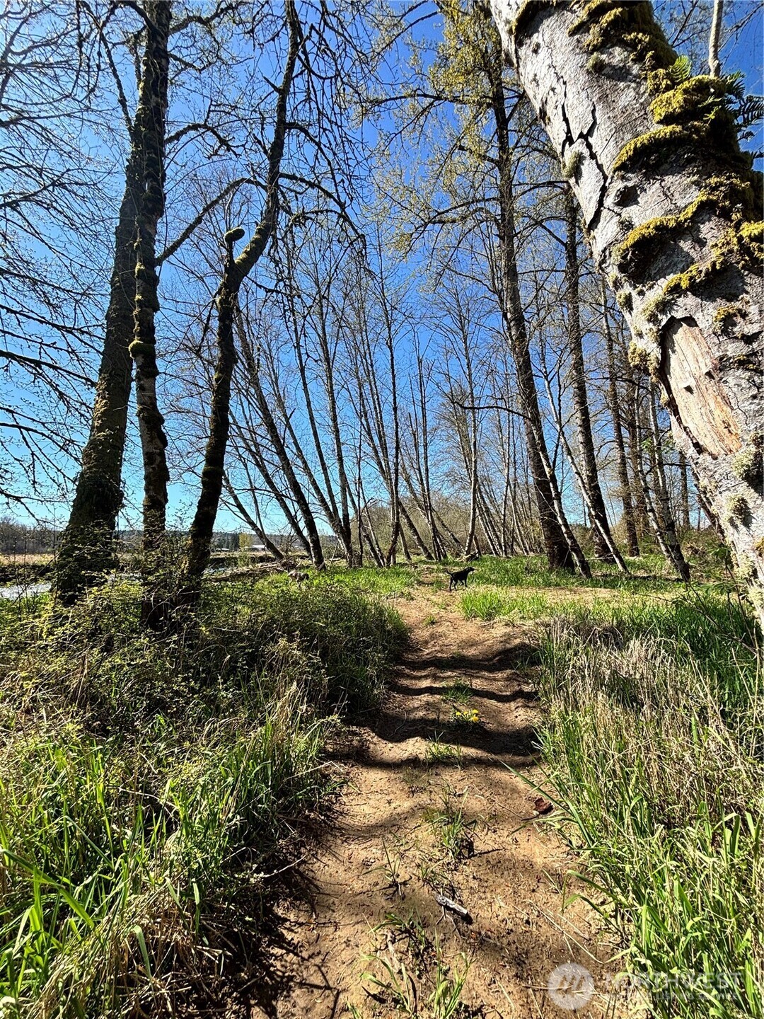 1554 State Route 508 Property Photo 20